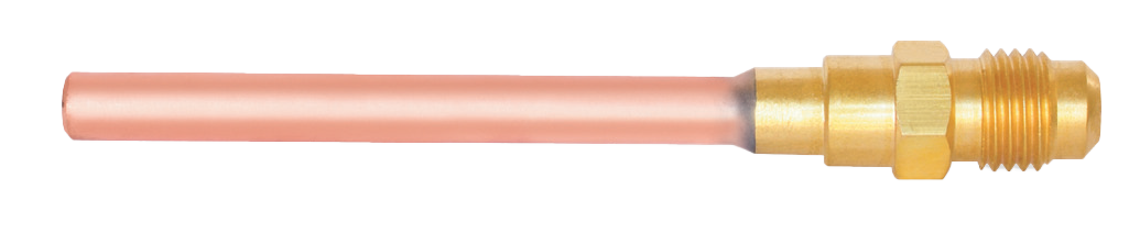 31501